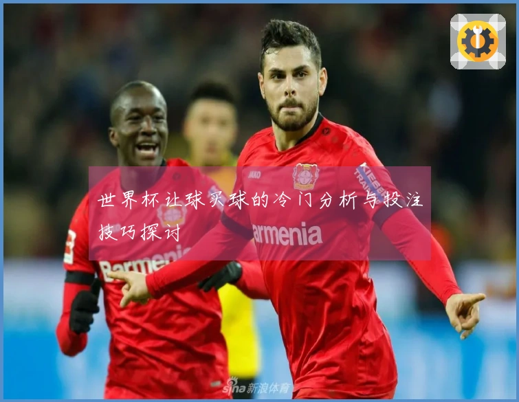 世界杯让球买球的冷门分析与投注技巧探讨