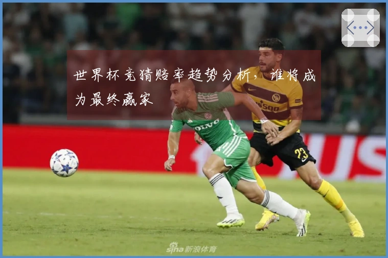 世界杯竞猜赔率趋势分析，谁将成为最终赢家