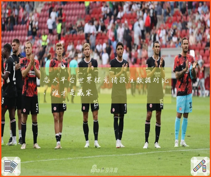各大平台世界杯竞猜投注数据对比,谁才是赢家
