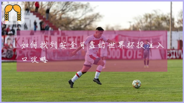 如何找到安全可靠的世界杯投注入口攻略